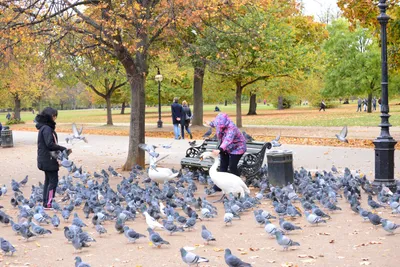 DSC_0627 (Large).JPG